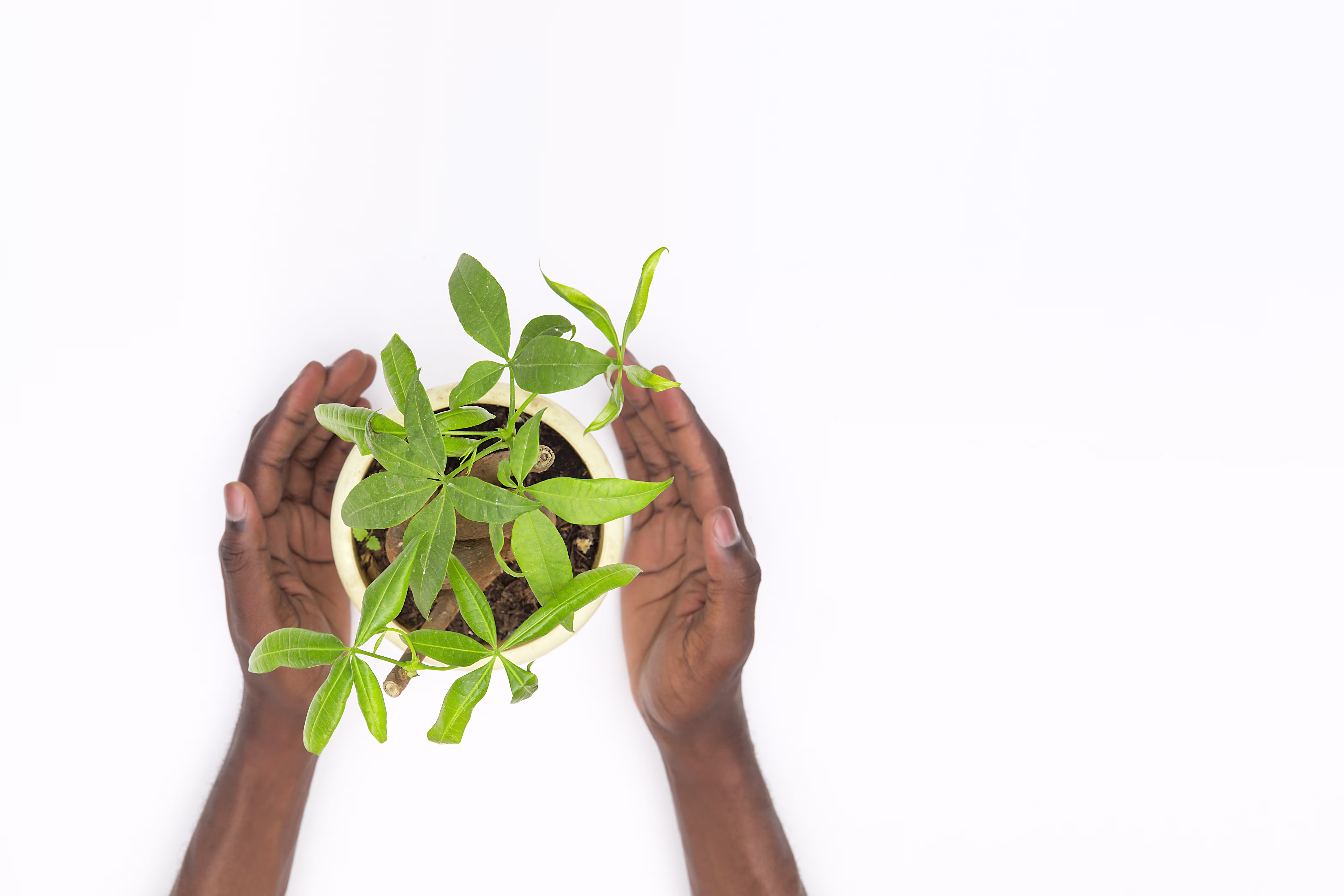 Farm technology and sustainability systems